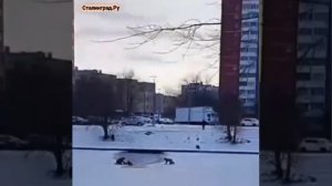 В Петербурге спасли ребёнка, который провалился под лёд и чуть не утонул в пруду.