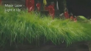 Танец Умпа-Лумпов подходит под любую песню