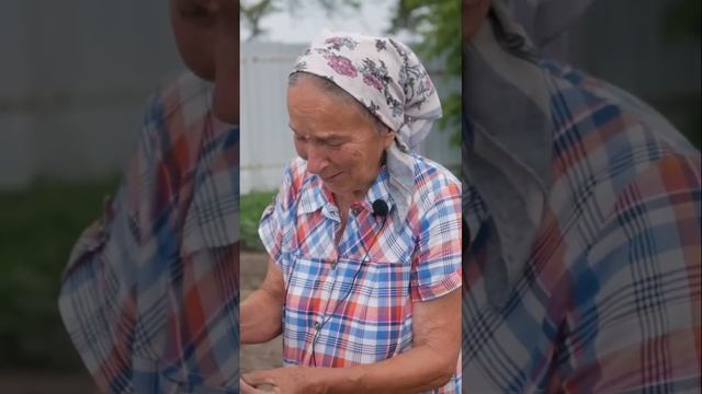Как правильно пересаживать растения весной для лучших ягод