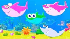 Акулёнок я малыш