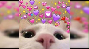 Me Gustas Tu 1 hour (sped up)