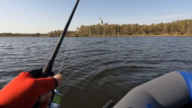 Первый ТРОФЕЙ ОСЕНИ! Ловля ЩУКИ на СПИННИНГ с лодки! Рыбалка на озере в октябре! смотреть онлайн