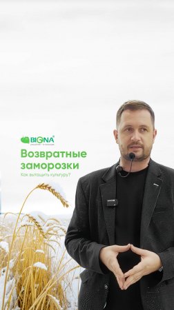 Возвратные заморозки — угроза урожаю!