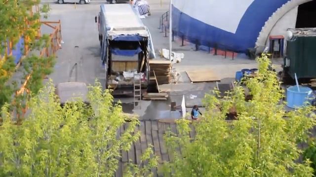 Очевидцы сняли видео ужасающего содержания морских животных смотреть онлайн