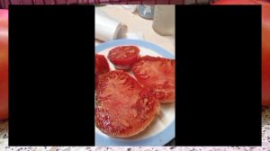 Крупноплодные томаты сезона 2024