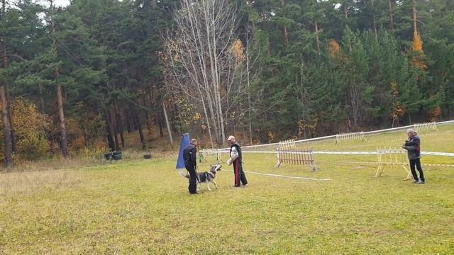 СЕДОЙ УРАЛ ЮЛИЙ ЦЕЗАРЬ ПРК+ Защита МОНО Екб 6.10.2019 смотреть онлайн