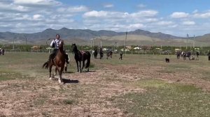 Скачки Верх Аскиз 1.06.2024г