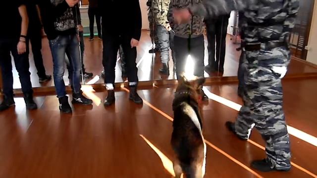 День открытых дверей смотреть онлайн