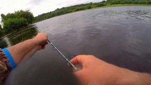 Dayo Prestige  - CX4. Курьяновский сброс.