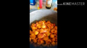 Соус из абрикосов на зиму для мяса и рыбы и других блюд