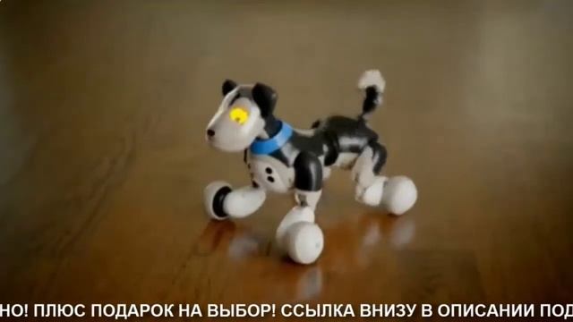 СОБАКА РОБОТ ЭТО смотреть онлайн