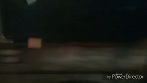 Номерной на Филёвской линии