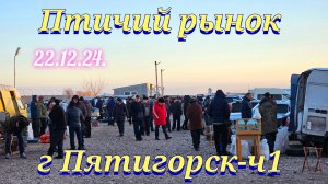 Голуби цены Птичий рынок г Пятигорск - ч1