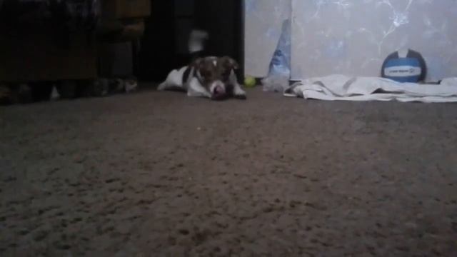 Я знаю команду ползи смотреть онлайн