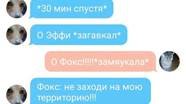 Переписка Эффи и Фокса смотреть онлайн