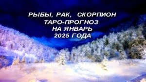 РЫБЫ, РАК, СКОРПИОН ТАРО-ПРОГНОЗ НА ЯНВАРЬ 2025 ГОДА