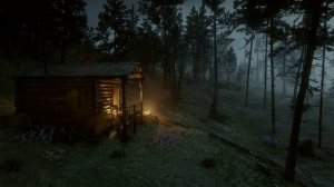 Туманный лес, в котором периодически идет дождь с громом.