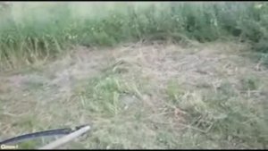 В стельку пьяная,полный дрободан!