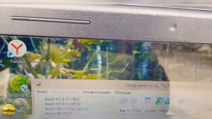 Чип-тюнинг Газель Некст. Улучшаем динамику, тягу, убираем провал, снижаем расход, выкл. катализатор.