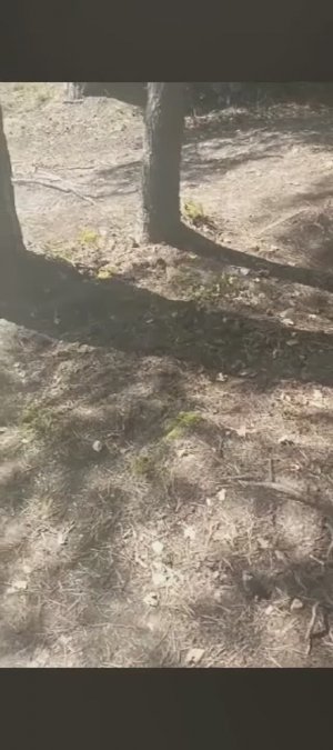 Вот это рыбалка. Супер улов.