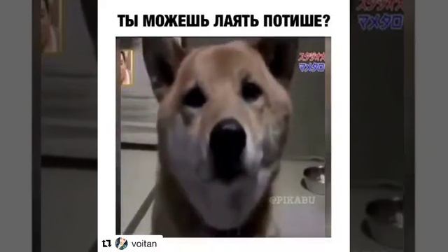 Прикол смотреть онлайн