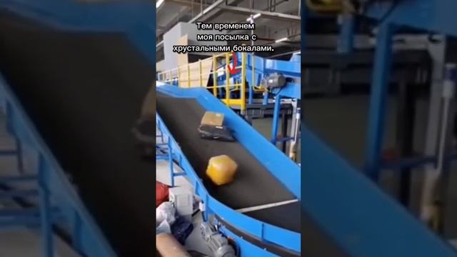 Теперь вы знаете где ваши заказы #юмор #wb смотреть онлайн