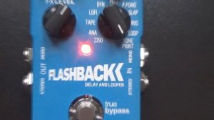 Electro Harmonix Deluxe Memory Man vs. TC Electronic Flashback - Delay comparison