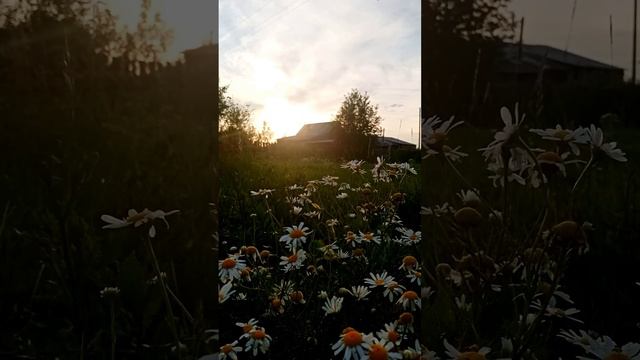 Летний вечер смотреть онлайн