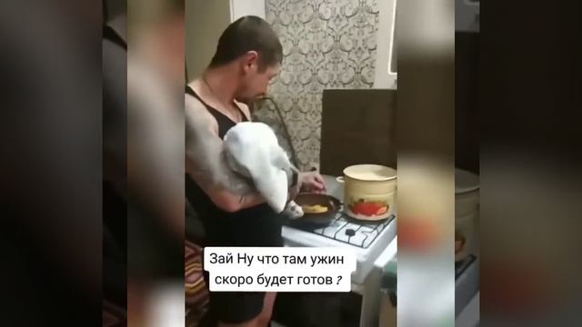 СБОРКА_ПРИКОЛОВ_ЛУЧШИЕ_ПРИКОЛЫ