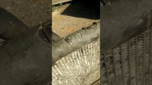 Если пробило алюминиевые перемычки радиатора)