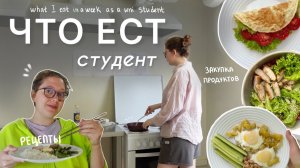 ЧТО Я ЕМ за неделю: рецепты для студентов и закупка продуктов