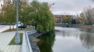 Разведка на заводском пруду. Осень. Мормышинг