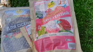 С этими удобрениями можно вырастить всё! Такие препараты нужны всем садоводам