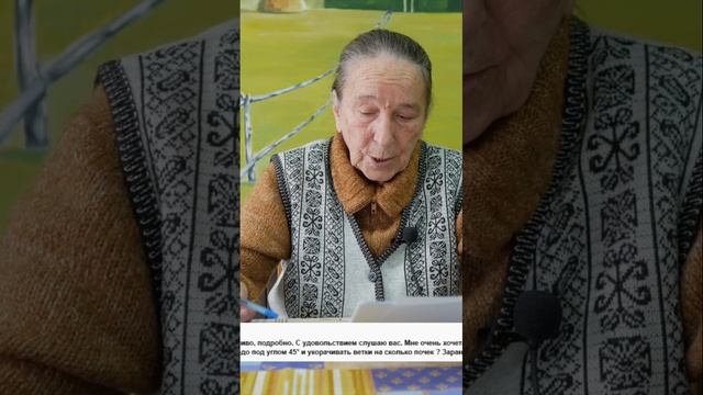 Как правильно пересаживать черную смородину для лучшего урожая
