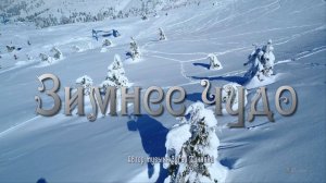 Зимнее чудо*