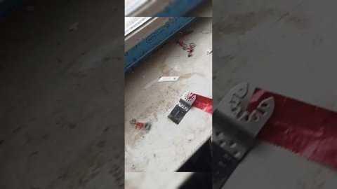 шок контент