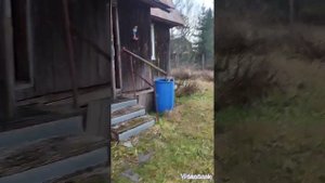 1000122327.mp4