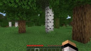9 СЕКРЕТНЫХ МЕСТ НОВОГО МАЙНКРАФТ! MINECRAFT!