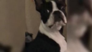 Тест на Психику Кто засмеётся тот псих #2