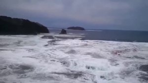 Цунами Таконогама Япония 2011