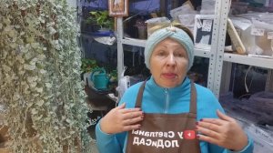 Какие средства НЕ работают от мышей. Опять борьба, прям настроение портится.