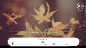 羣星 - Симпа (Remix)『Она его половина』【動態歌詞Lyrics】