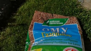 ЧУДО в огороде- тыква из сугроба и молодой картофель без ботвы