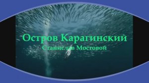 Остров Карагинский