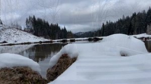 Новогодняя музыкальная открытка Восточного Сараева "В лесу родилась ёлочка"