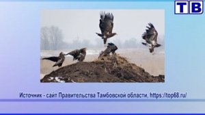 "Наш город" от 13 12 24