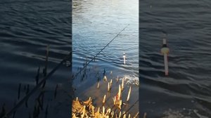 1000030457.mp4