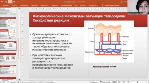 Терморегуляция