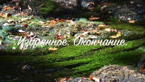 13 Избранное.