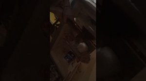 Панин с собакой